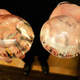 Illustration for article titled Female Terrorists' Explosive Breast Implants? Really?